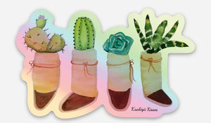 Cacti in mocs - holographic